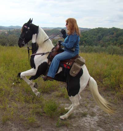 black and white pictures of horses. Gorgeous lack and white