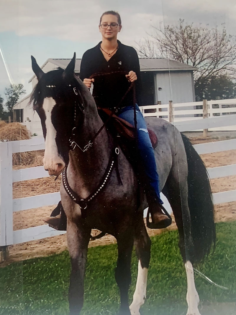 blue roan tennessee walking horse