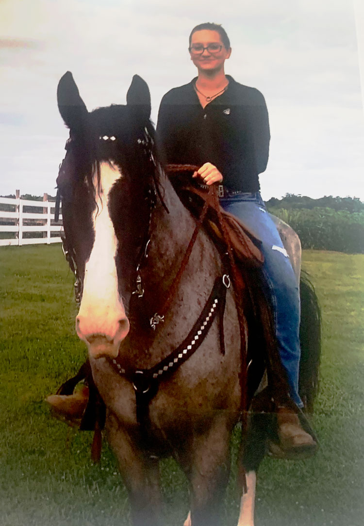 blue roan tennessee walking horse