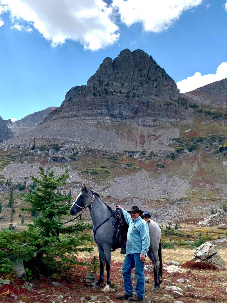 blue roan Tennessee Walking Horse mare for sale