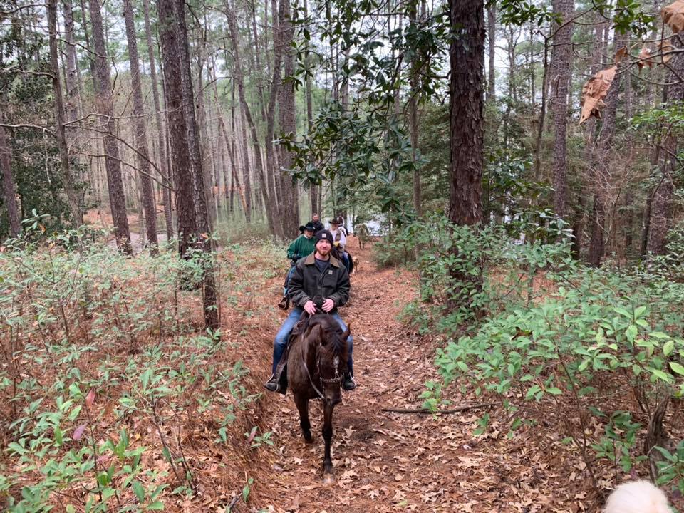 smoky black Rowdy Rawhide standardbred gelding