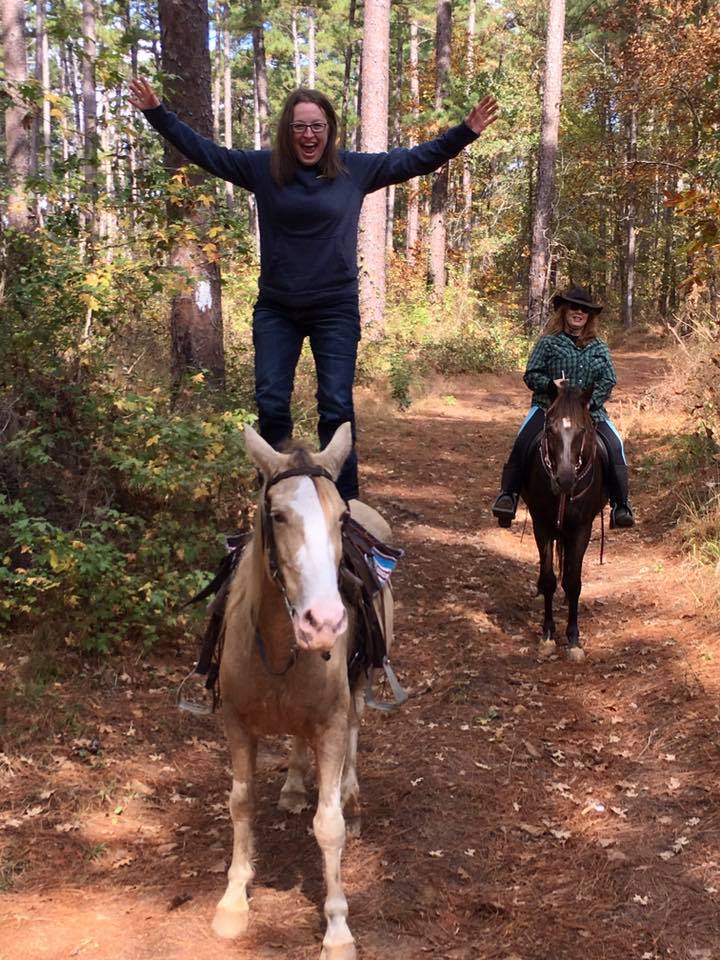 Smoky black standardbred gelding