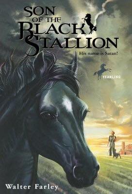 Smoky black standardbred gelding