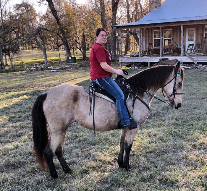 buckskin Tenn Walker mare