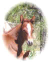 LizzieGrace041006a.jpg (40322 bytes)
